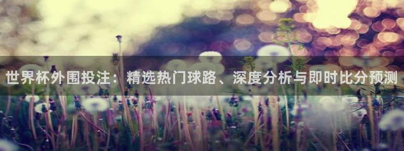 世界杯欧洲预选赛:世界杯外围投注:精选热门球路、深度分析与即时比分预测