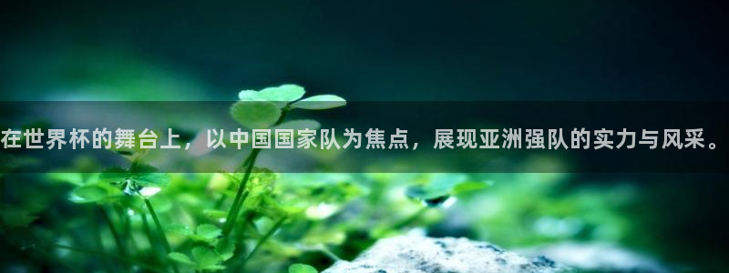 亚洲杯足球:在世界杯的舞台上,以中国国家队为焦点,展现亚洲强队的实力与风采。