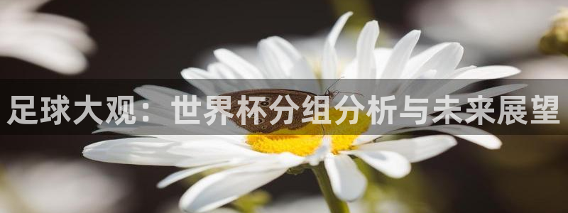 世界杯预选赛欧洲:足球大观:世界杯分组分析与未来展望