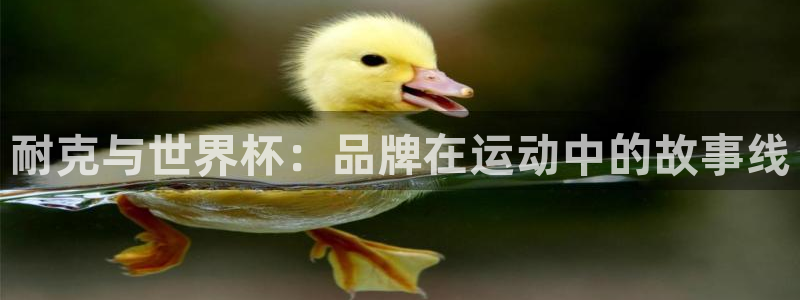 世界杯比赛:耐克与世界杯:品牌在运动中的故事线