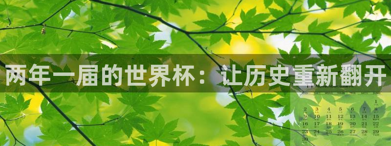 2026世界杯赛制:两年一届的世界杯:让历史重新翻开