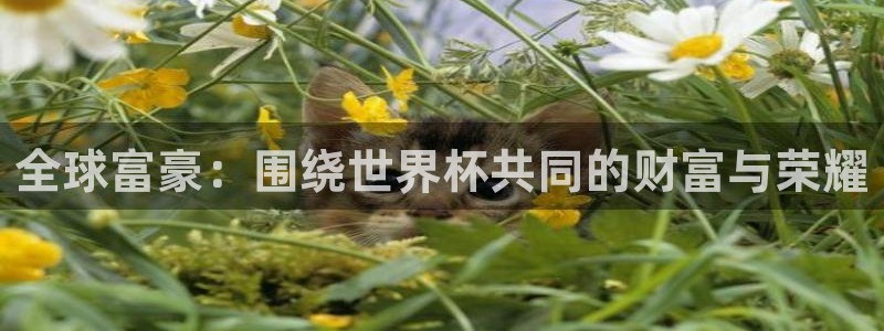 足球世界杯时间:全球富豪:围绕世界杯共同的财富与荣耀