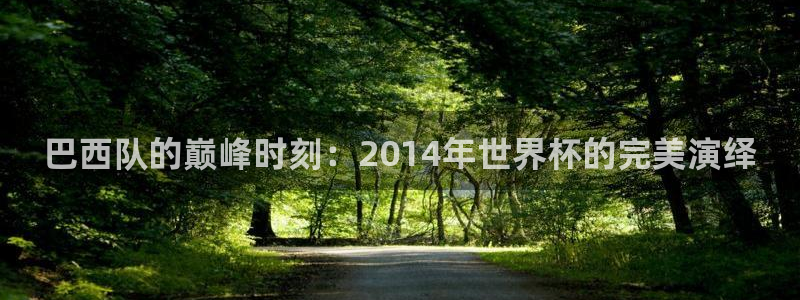 世界杯时间:巴西队的巅峰时刻:2014年世界杯的完美演绎
